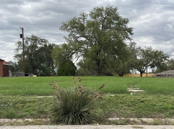 707 Lfd Drive, Littlefield, TX 79339