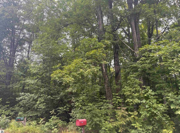 S Hemlock Road, Cedar, MI 40621