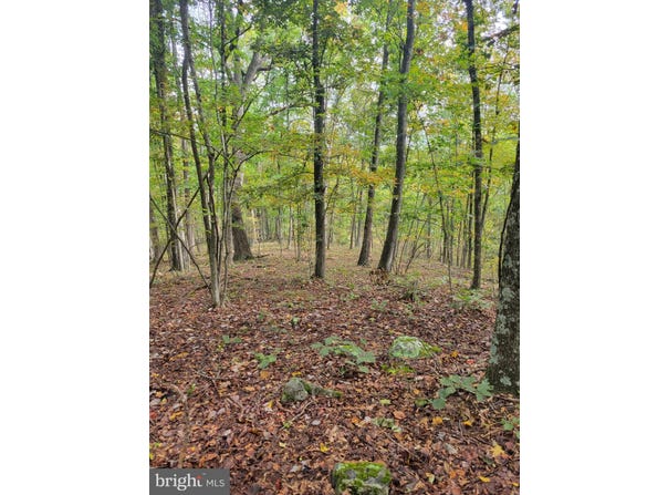 BEAR Road, DELRAY, WV 26714