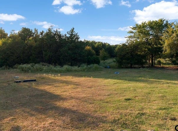 FM 314, Brownsboro, TX 75756