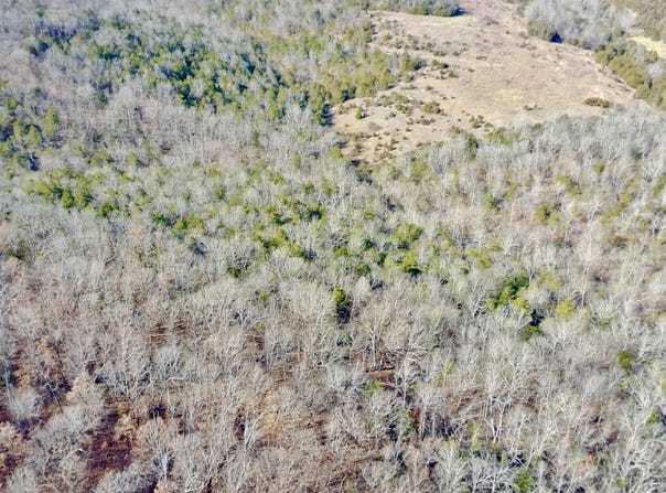 Flowstone Ln, Gainesville, MO 65655