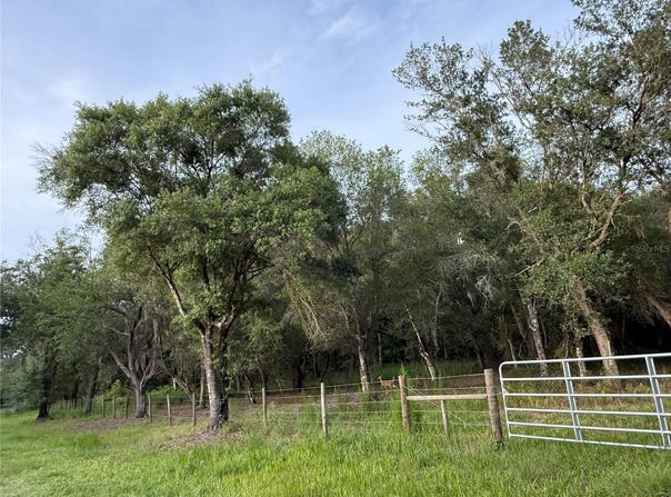 SE BROWN Road, ARCADIA, FL 34266