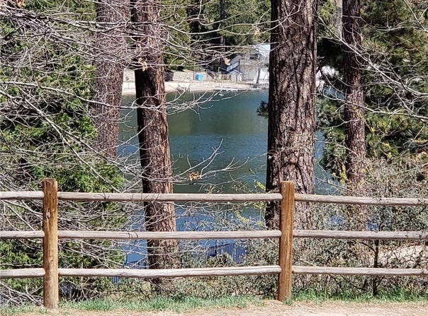 24155 San Moritz Drive, Crestline, CA 92325