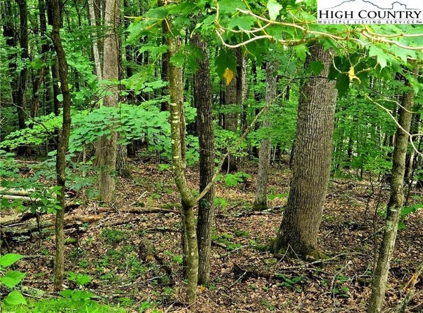 Red Fox Ridge, Boone, NC 28607