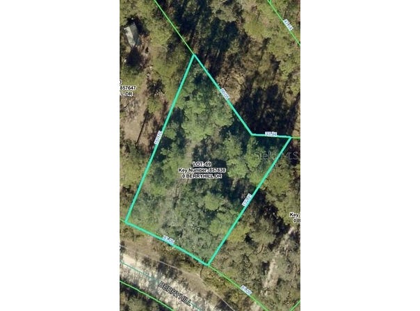 BERRYHILL Drive, WEBSTER, FL 33597