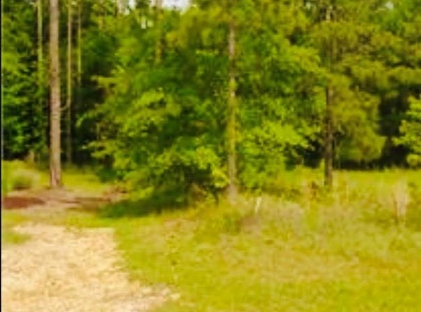 Westwoods Drive lot: 23, Moultrie, GA 31768