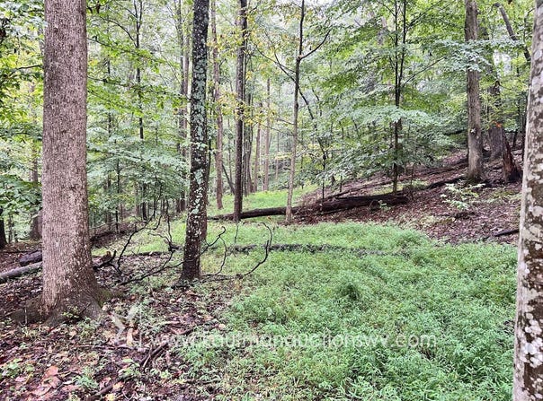 Lexington Dr, Saint Albans, WV 25177