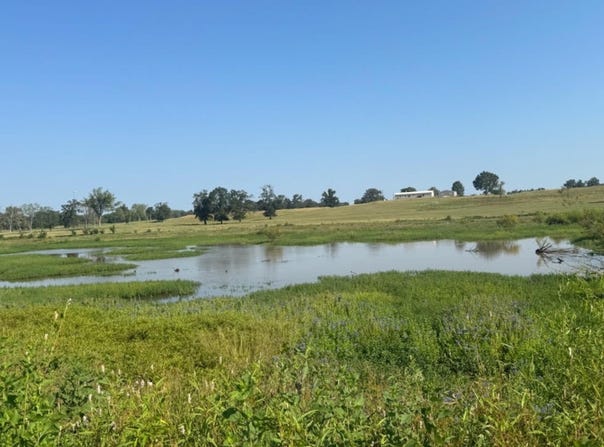 768 County Road 2220, Talco, TX 75487