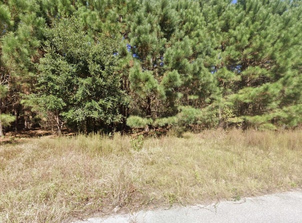 442 Pembroke Blvd., Johnsonville, SC 29555