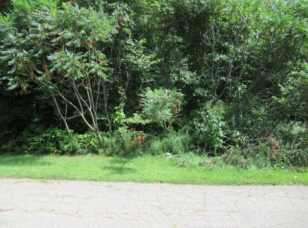 Tract 3 Deep Woods Drive, Cassopolis, MI 49031