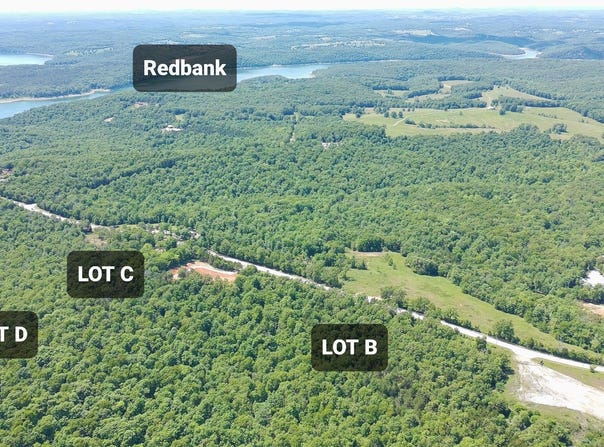 6739 HWY 101, Gamaliel, AR 72537