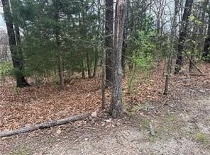 Entry Road lot: 10, Ridgedale, MO 65739
