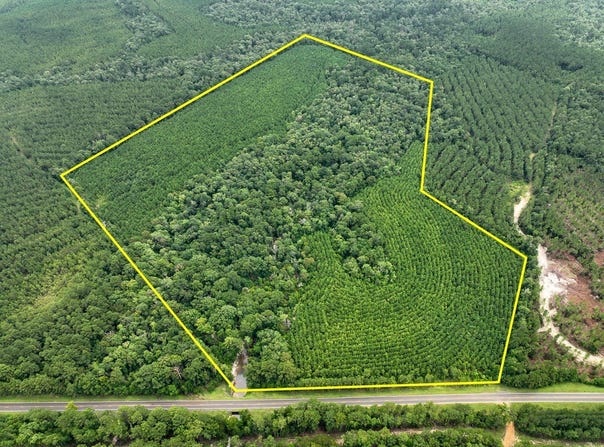 FM 2939, Newton, TX 75966