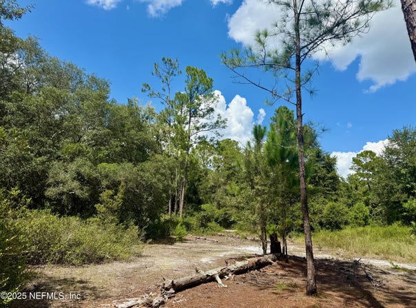NETTLES Road, Florahome, FL 32140