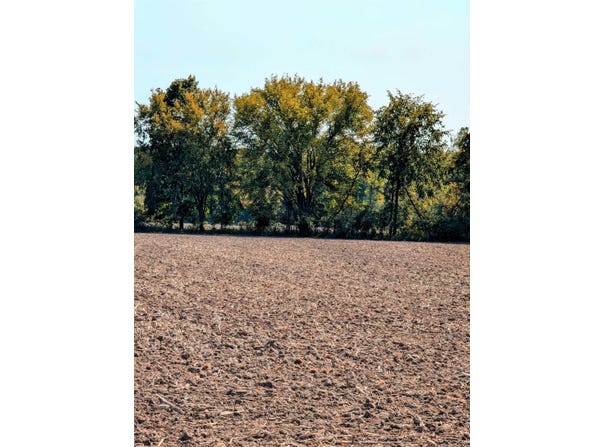 31 Mile Road, Ray Twp, MI 48096