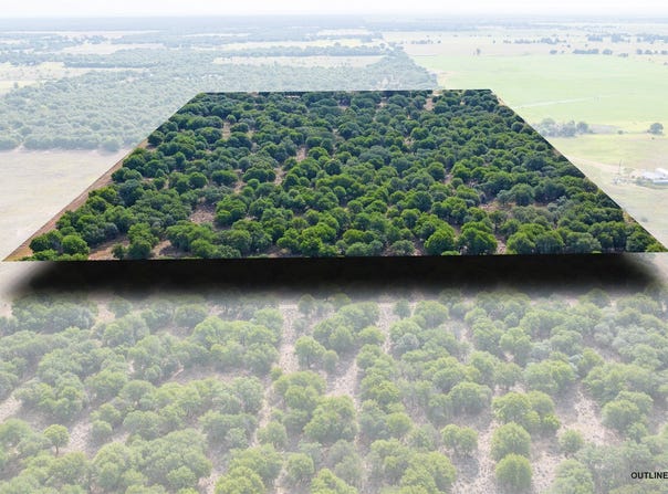 FM 3368 tract 2, Hawley, TX 79525
