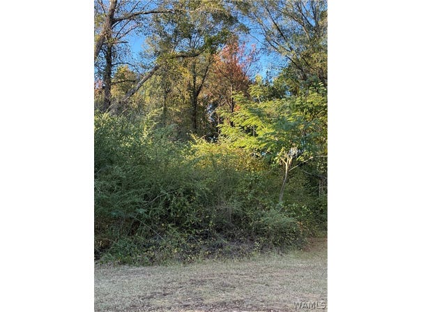 Highway 43 N, Northport, AL 35474