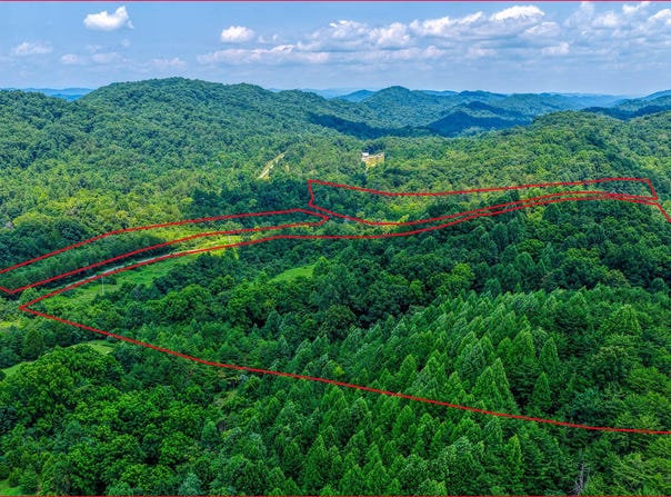Sweet Creek, Eidson, TN 37731