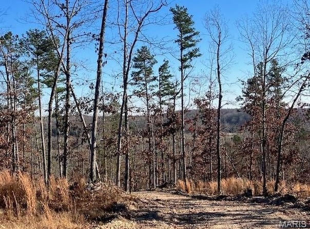 52 Madison CR 410, Fredericktown, MO 63645