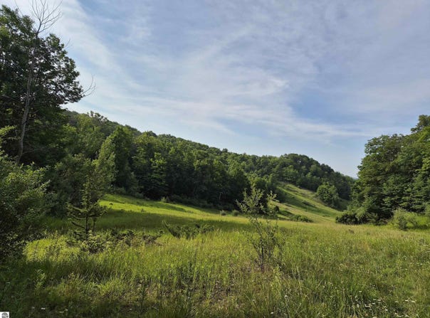 N Crossover Drive lot: A, Bellaire, MI 49615