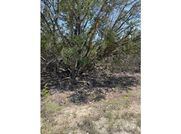 CR 2644, Lometa, TX 76853