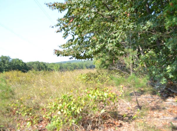 2156 Street Place Loop, Monterey, TN 38574
