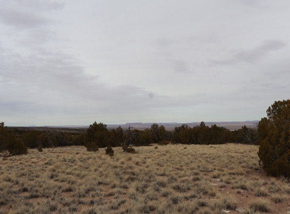 Grants, NM 87020