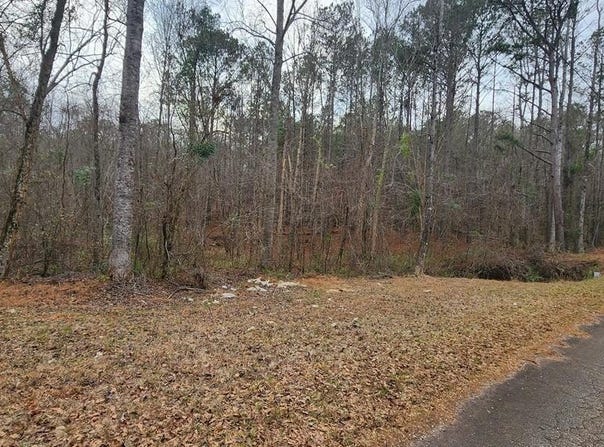 Monument Road, Pine Mountain, GA 31833