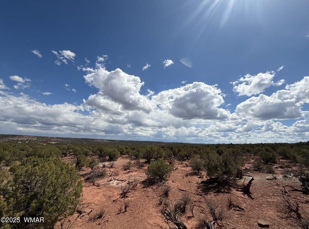 8933 Blue Jay Lane, Snowflake, AZ 85937