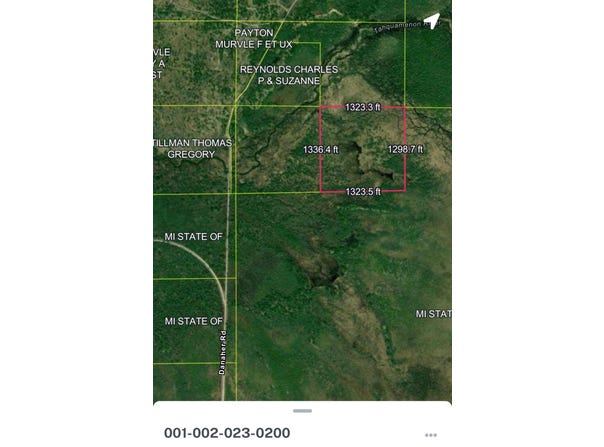 County Road 442, McMillan, MI 49853