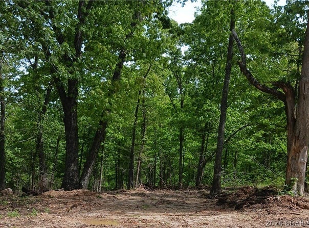 Possum Trot Road, Stover, MO 65078