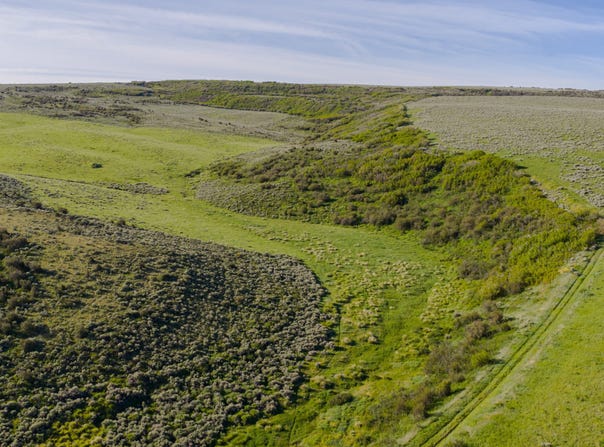 TBD County Road 57, Hayden, CO 81639