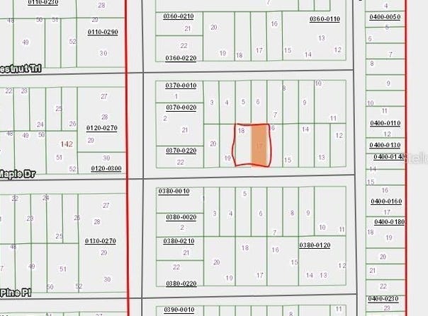 MAPLE Drive, INTERLACHEN, FL 32148