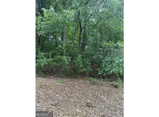 Ada Street, Royston, GA 30662