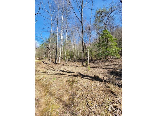 Watson Cove Rd., Franklin, NC 28734