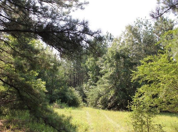PID 36982 Ben Dunn Road, Lufkin, TX 75901