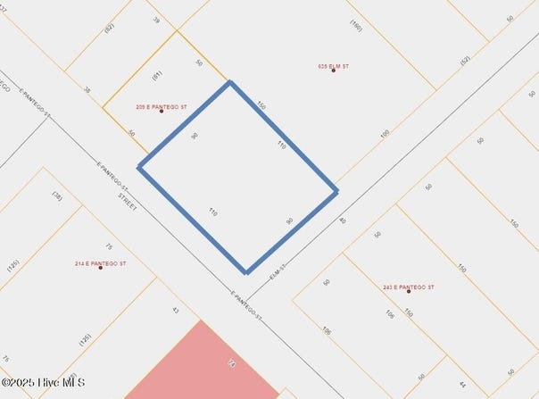 Pantego Street lot: 1, Belhaven, NC 27810