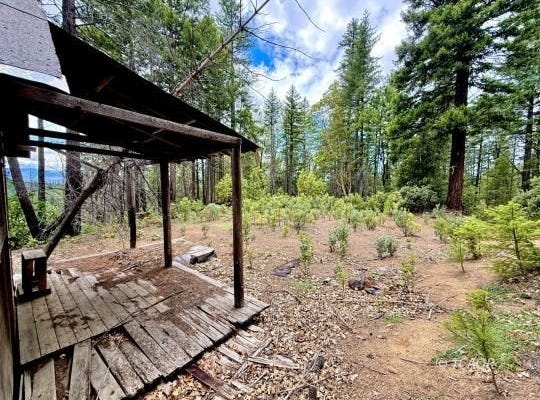 580 Madrone Rd, Hayfork, CA 96041