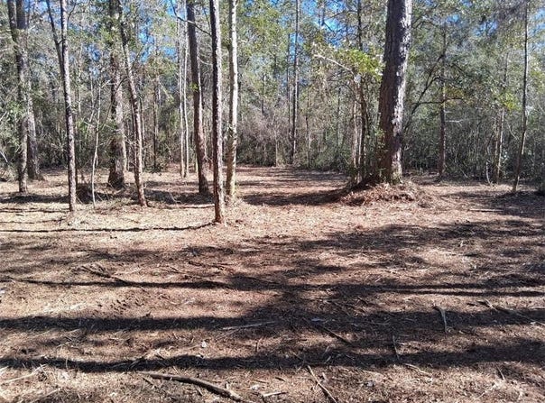 Dolphin Drive, Theodore, AL 36582