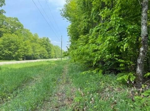 Co. Rd 98, McMillan, MI 49853