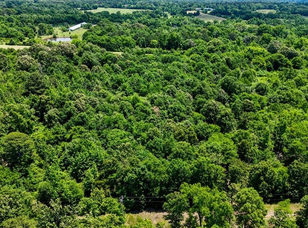 Tract 3 E 2030 Rd, Glover, OK 74737