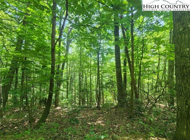 Hollow Point Drive, West Jefferson, NC 28694