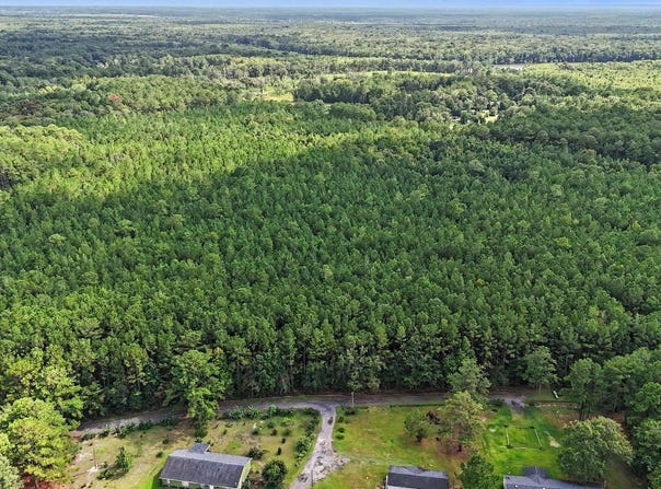 Rustwood Dr., Georgetown, SC 29440