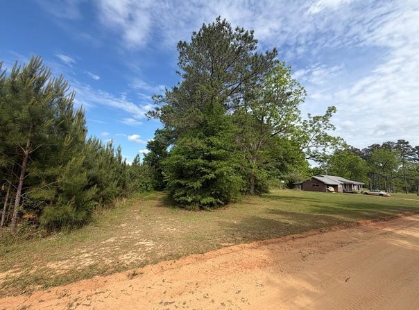 97 Stricklin Road, BRANTLEY, AL 36009