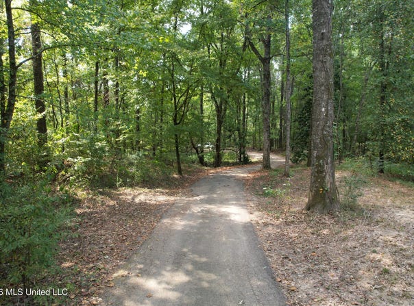 China Grove Road, Vicksburg, MS 39180