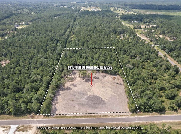 1010 Cub Dr, Kountze, TX 77625