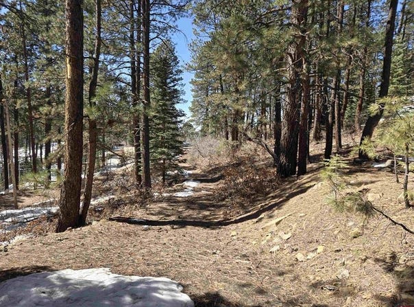 Groves Drive lot: 9, Durango, CO 81301