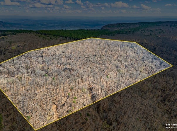 40 Acres, Dardanelle, AR 72834