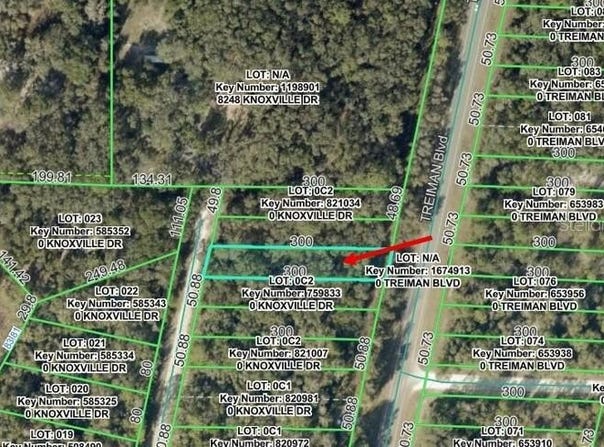 KNOXVILLE Drive, WEBSTER, FL 33597