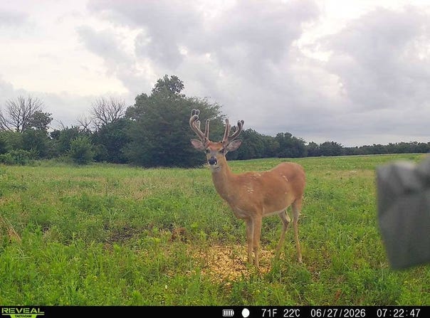 15th Rd & Unique Rd, Bronson, KS 66755